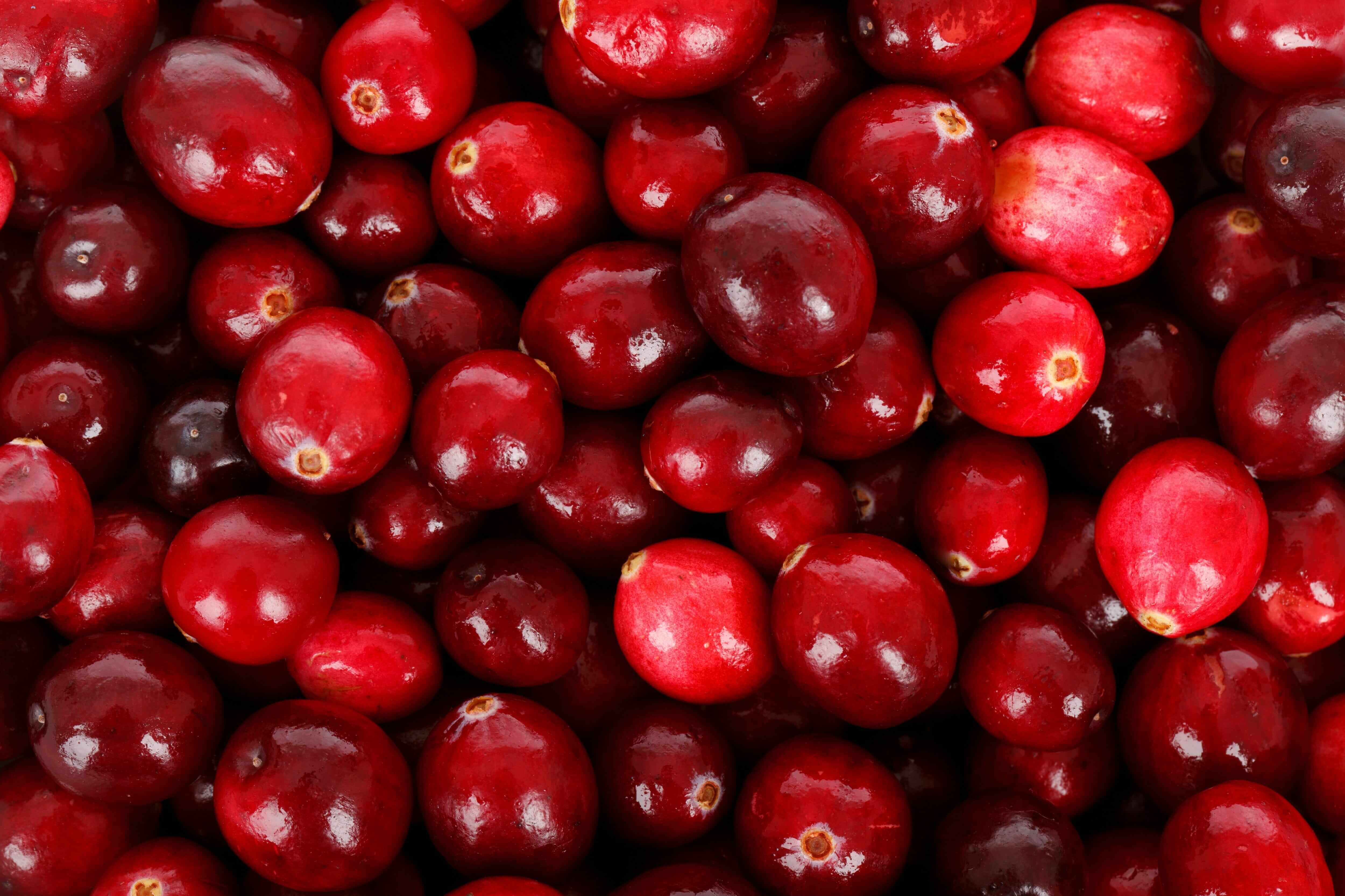 Cranberries – The Thanksgiving Superfood Your Teeth &amp; Gums LOVE - Good-Gums